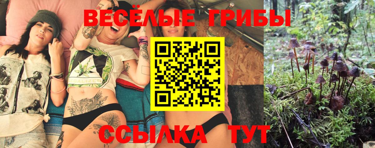 Псилоцибиновые грибы GOLDEN TEACHER  Вход с VPN  Псилоцибиновые грибы прущие грибы  Нерюнгри 